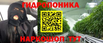 apvp Гусь-Хрустальный