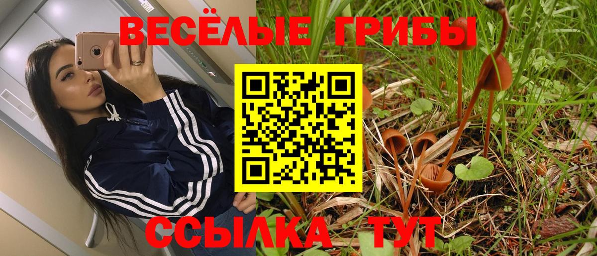 Галлюциногенные грибы ЛСД  Галлюциногенные грибы мухоморы  Дальнереченск  Вход с VPN 